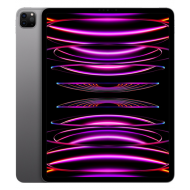 Apple iPad Pro 12,9 Zoll 6. Generation (2022, M2, Wi-Fi, 128 GB) - Space Grau