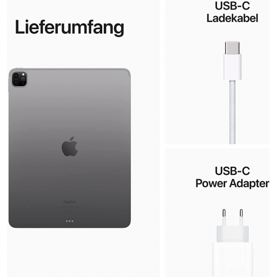 Apple iPad Pro 12,9 Zoll 6. Generation (2022, M2, Wi-Fi, 128 GB) - Space Grau